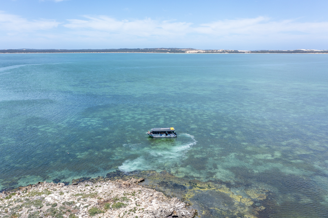 Coffin Bay Oyster Farm & Bay Tour - No Oysters - Including Wading Experience