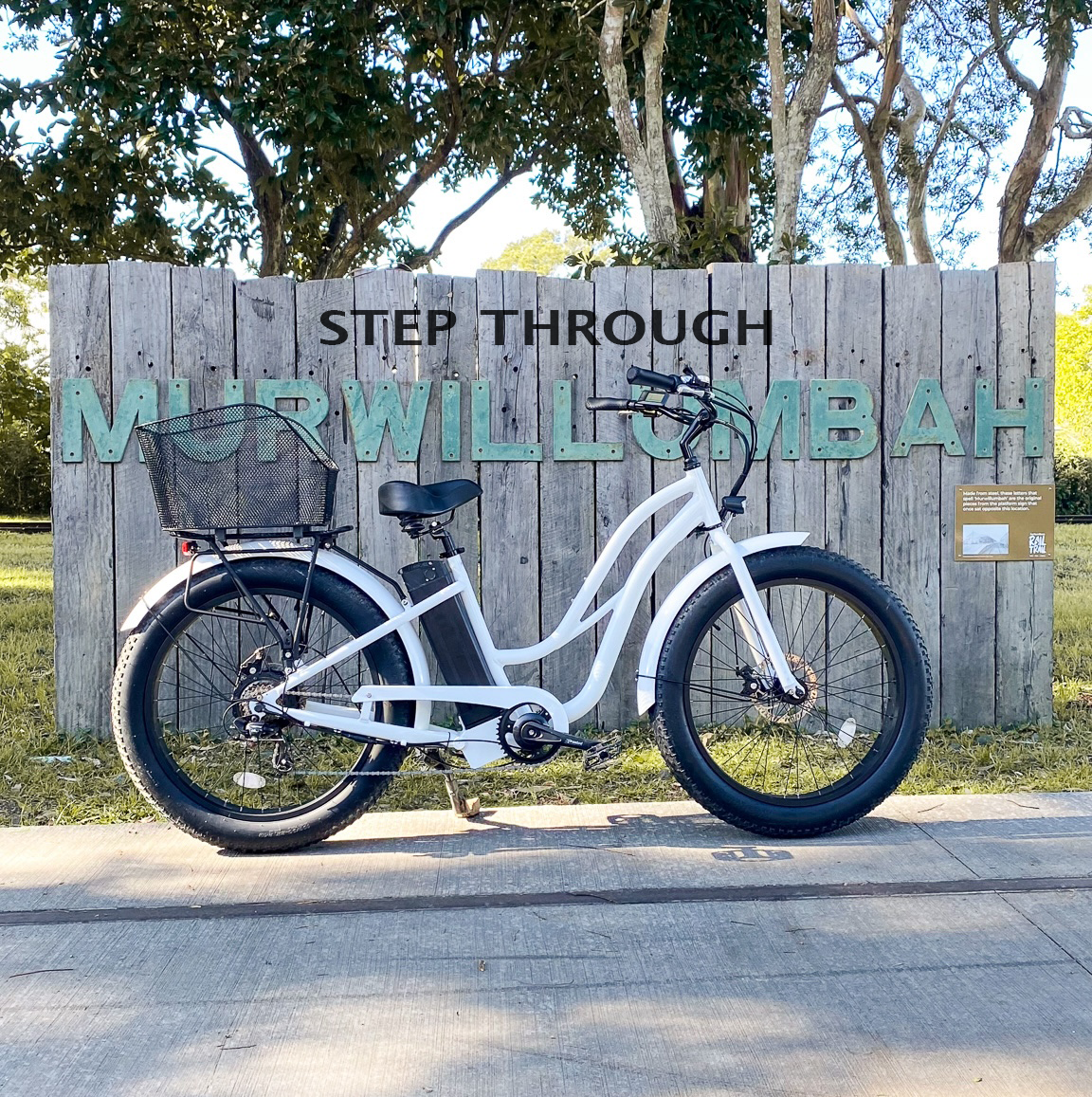 Adult E-Bike – Fat Tyre Freedom Machine