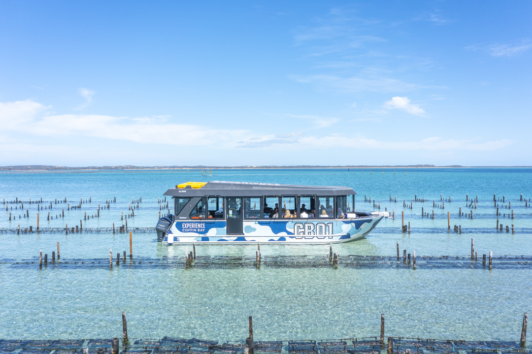 Coffin Bay Oyster Farm & Bay Tour - No Oysters - Including Wading Experience