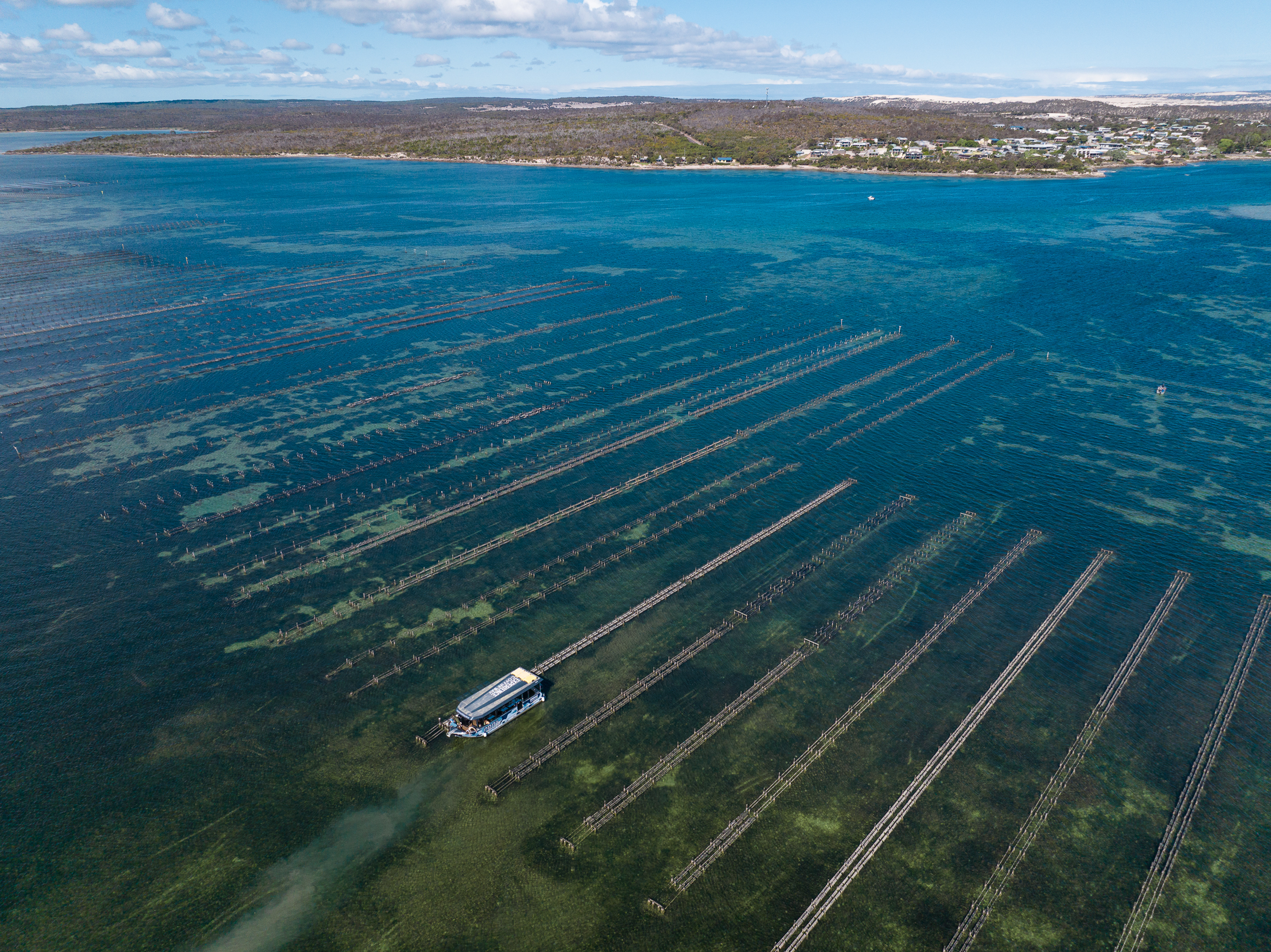 Coffin Bay Short & Sweet Oyster Farm Tour - No Oysters