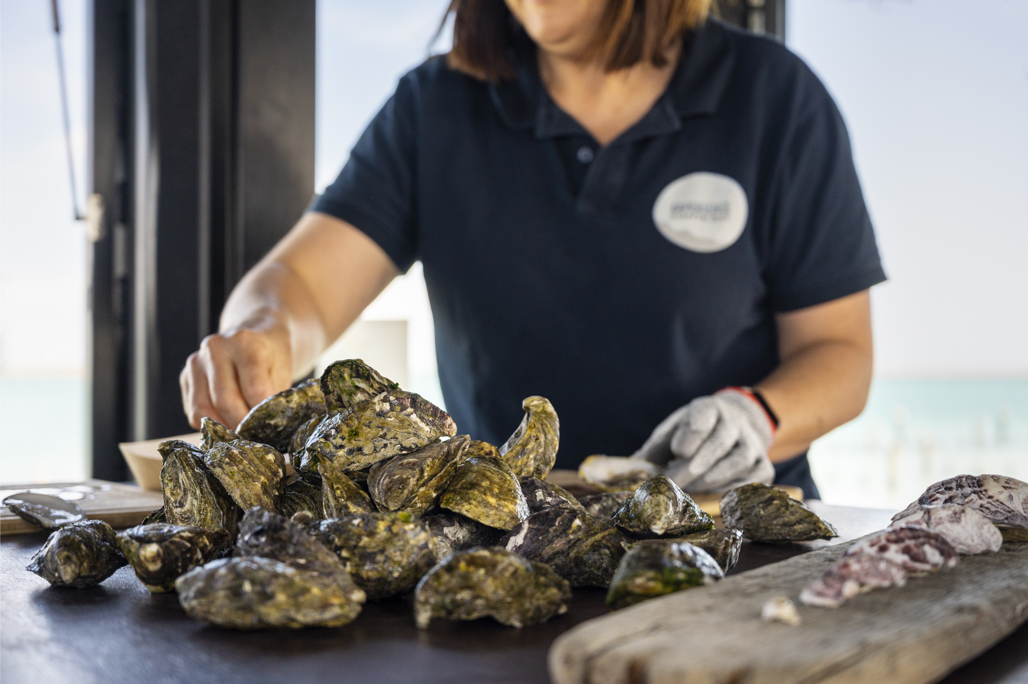 Coffin Bay Oyster Farm & Bay Tour - No Oysters - Including Wading Experience