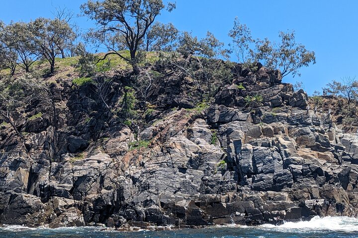 Noosa National Park Scenic Adventure Boat Tour on Whalesongs