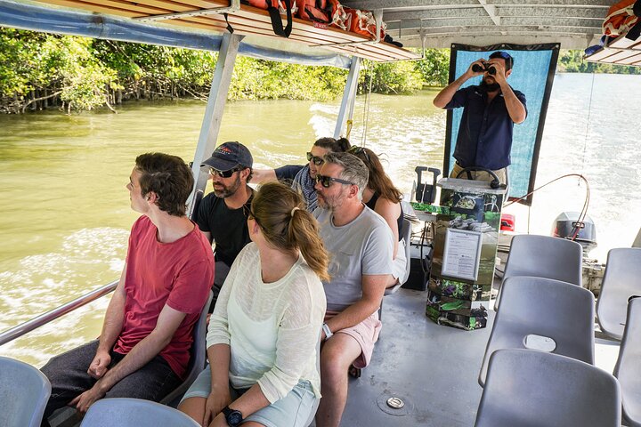 Small Group Daintree Tour including Paddock to Plate Lunch