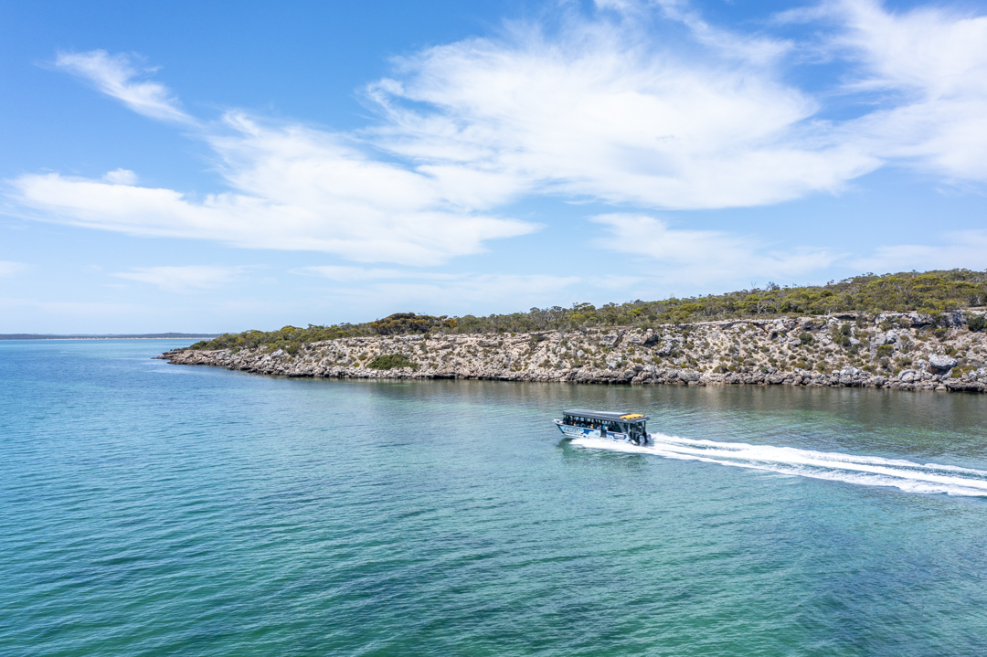 Coffin Bay Oyster Farm & Bay Tour - No Oysters - Including Wading Experience