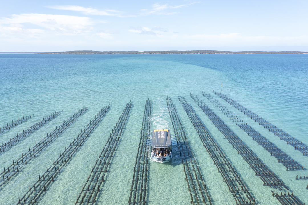 Coffin Bay Oyster Farm & Bay Tour - No Oysters - Including Wading Experience