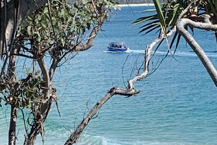 Noosa National Park Scenic Adventure Boat Tour on Whalesongs
