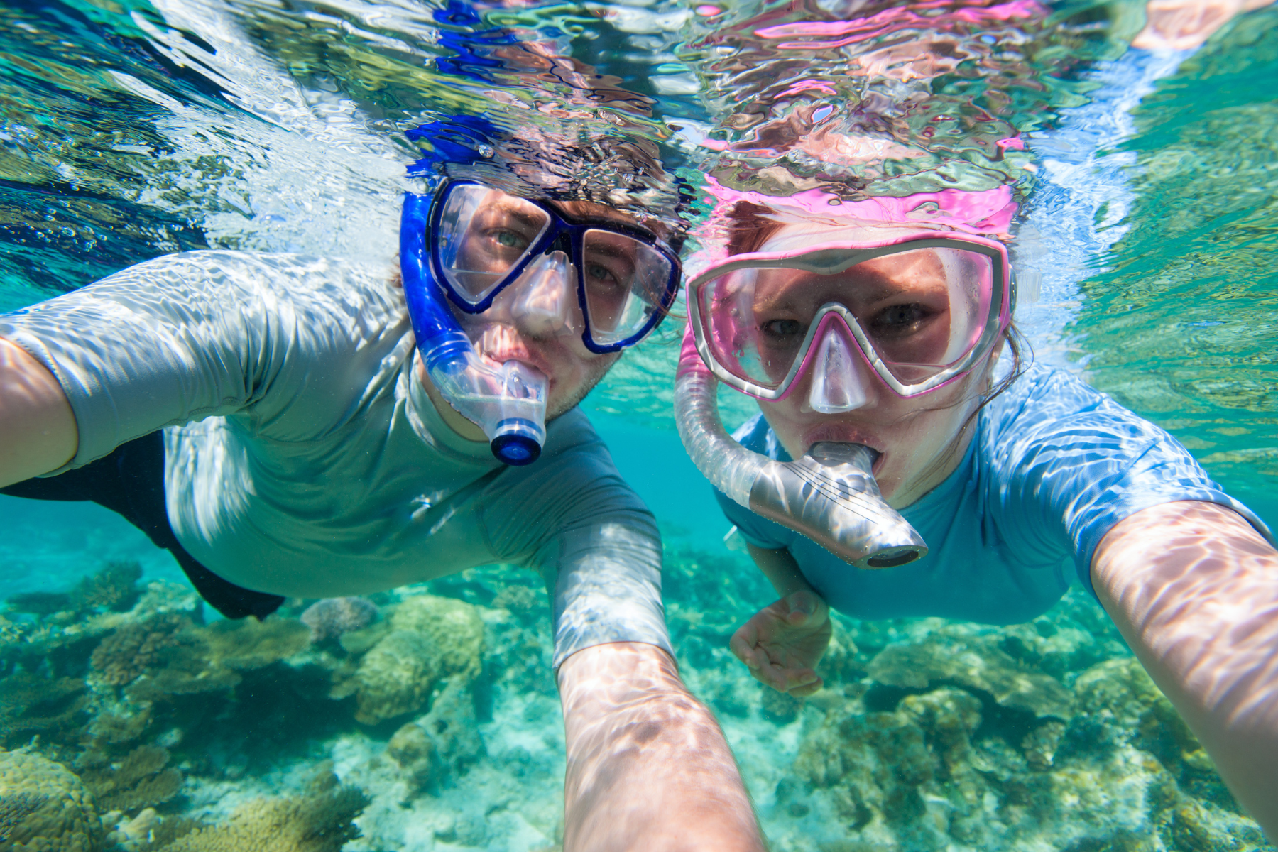 Reef Snorkel Safari - Half Day