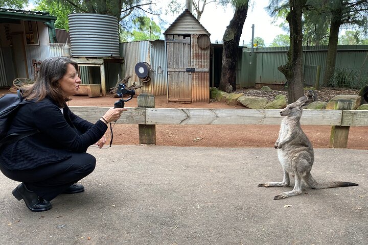 Sydney Opera House and Aussie Animals Private Tour