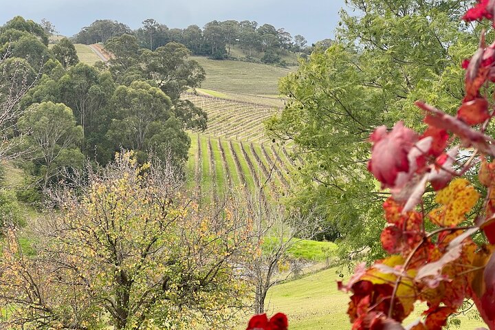 Private Hunter Valley Wine Tasting Tour from Sydney