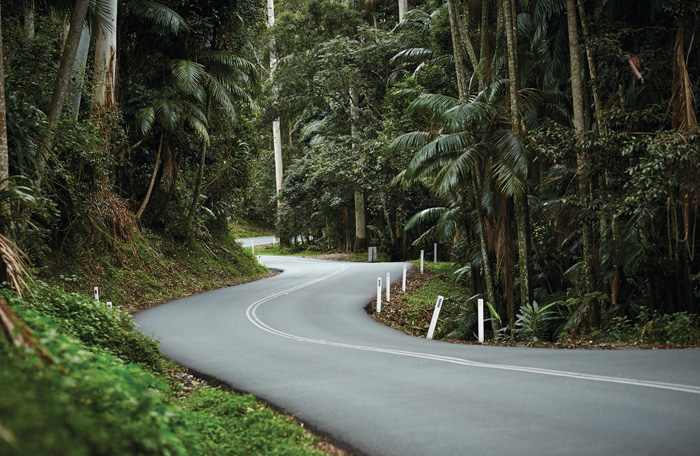 Brisbane to Tamborine Mountain Shuttle Service