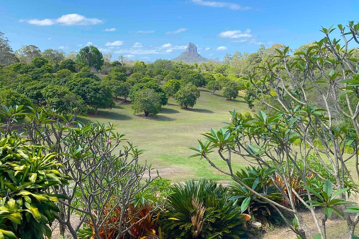 Glass House Mountains Tour with Lunch, Lookouts, and Nature Walks