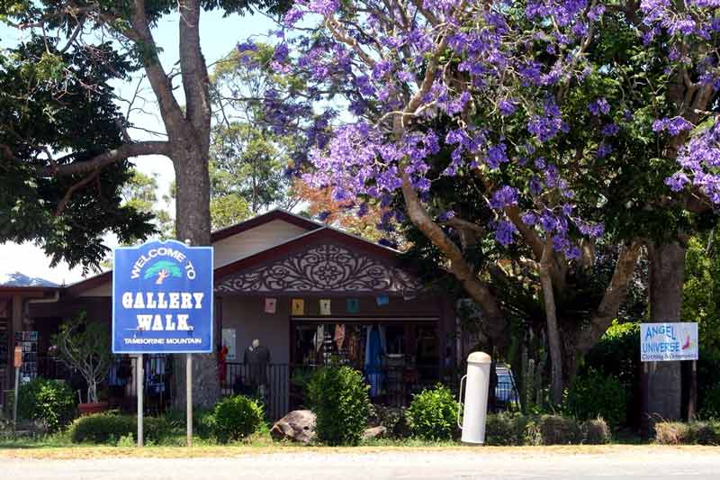 Hop on Hop Off Bus - Tamborine Mountain - from Gold Coast