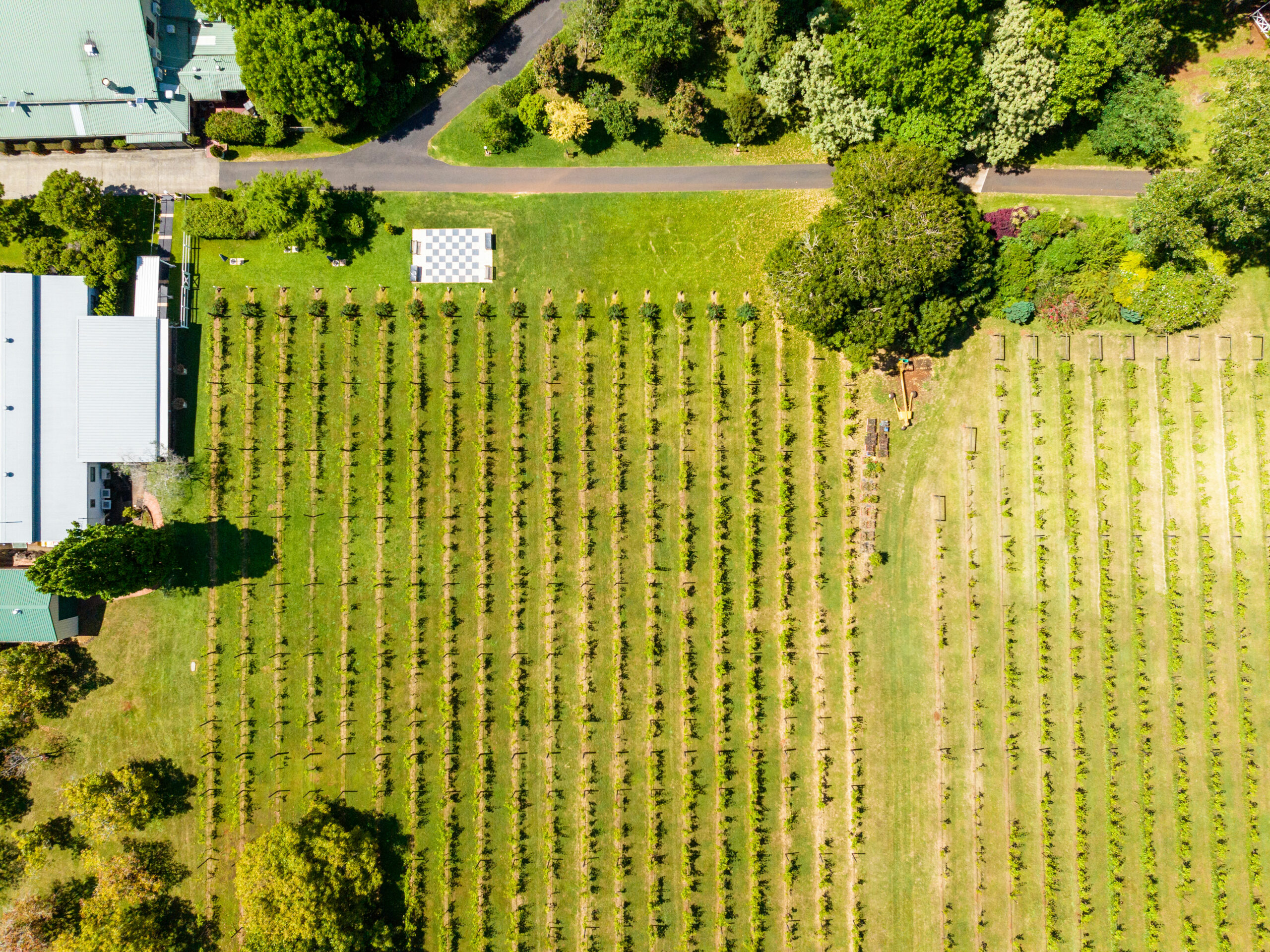 Hop on Hop Off Bus - Tamborine Mountain - from Gold Coast