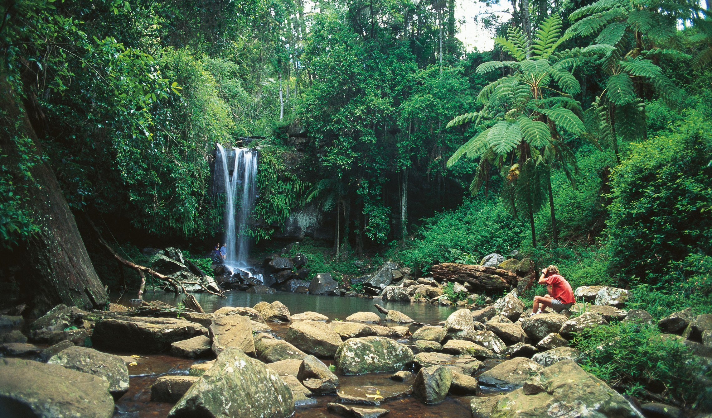 Hop on Hop Off Bus - Tamborine Mountain - from Gold Coast