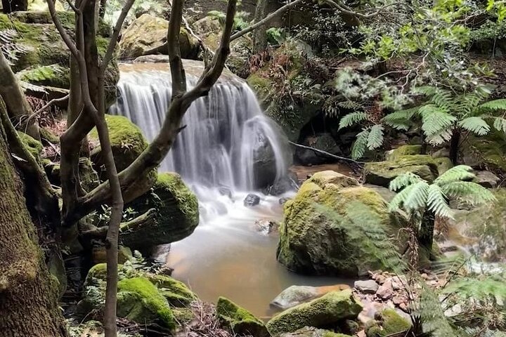 Adventurous Blue Mountains hike up the iconic Three Sisters