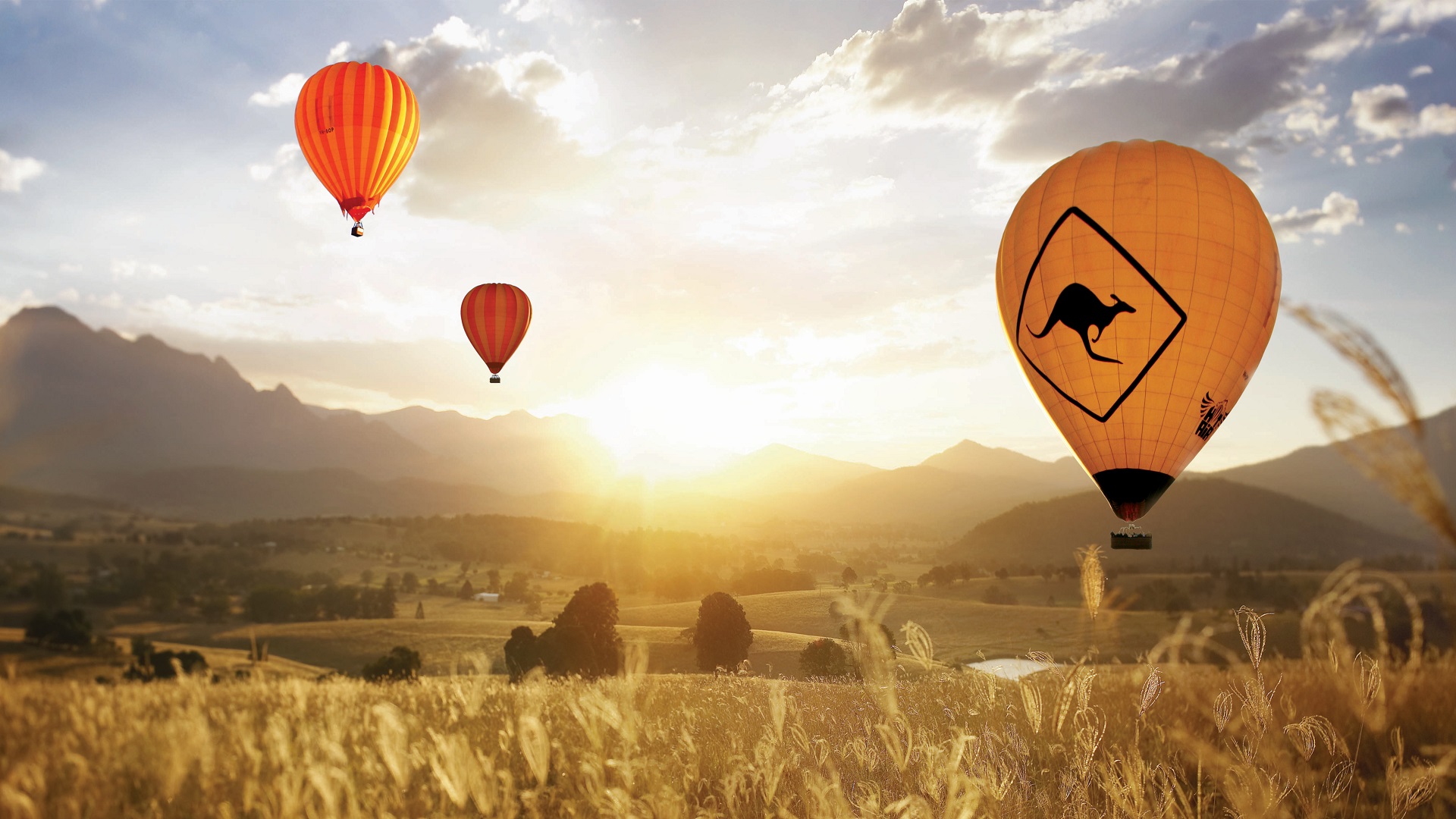 Gold Coast Classic Ballooning & Vineyard Breakfast with Whales