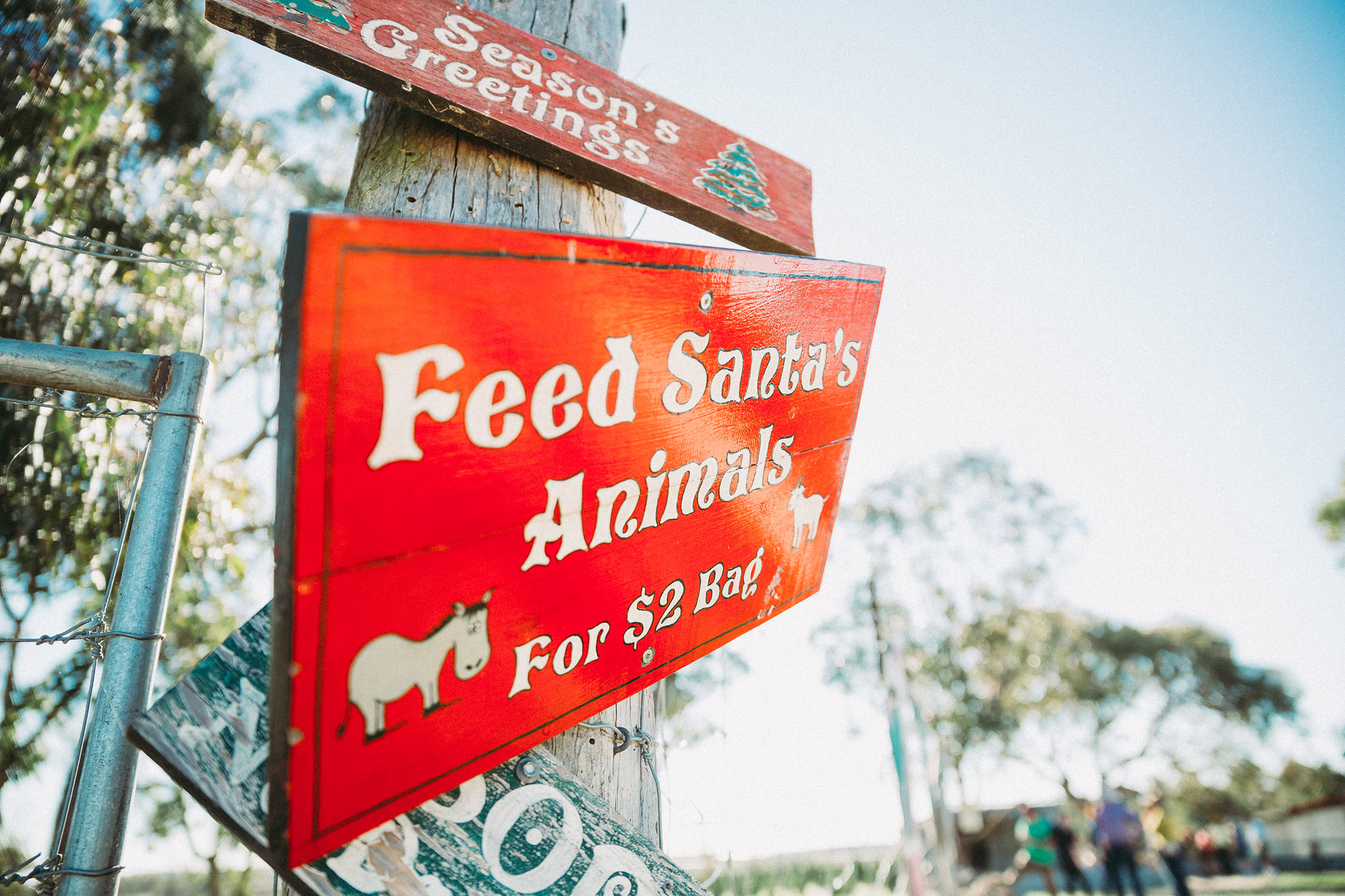 THE MAGICAL CHRISTMAS FARM TOUR AT STANTHORPE