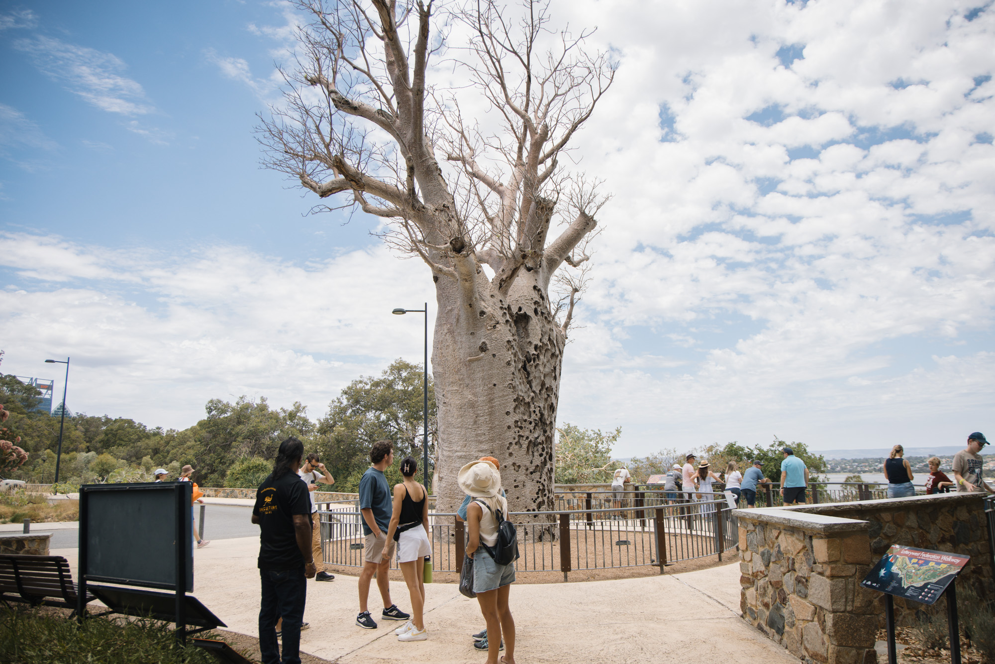 Mooro Katta Gar-Up Walking Tour (Kings Park)