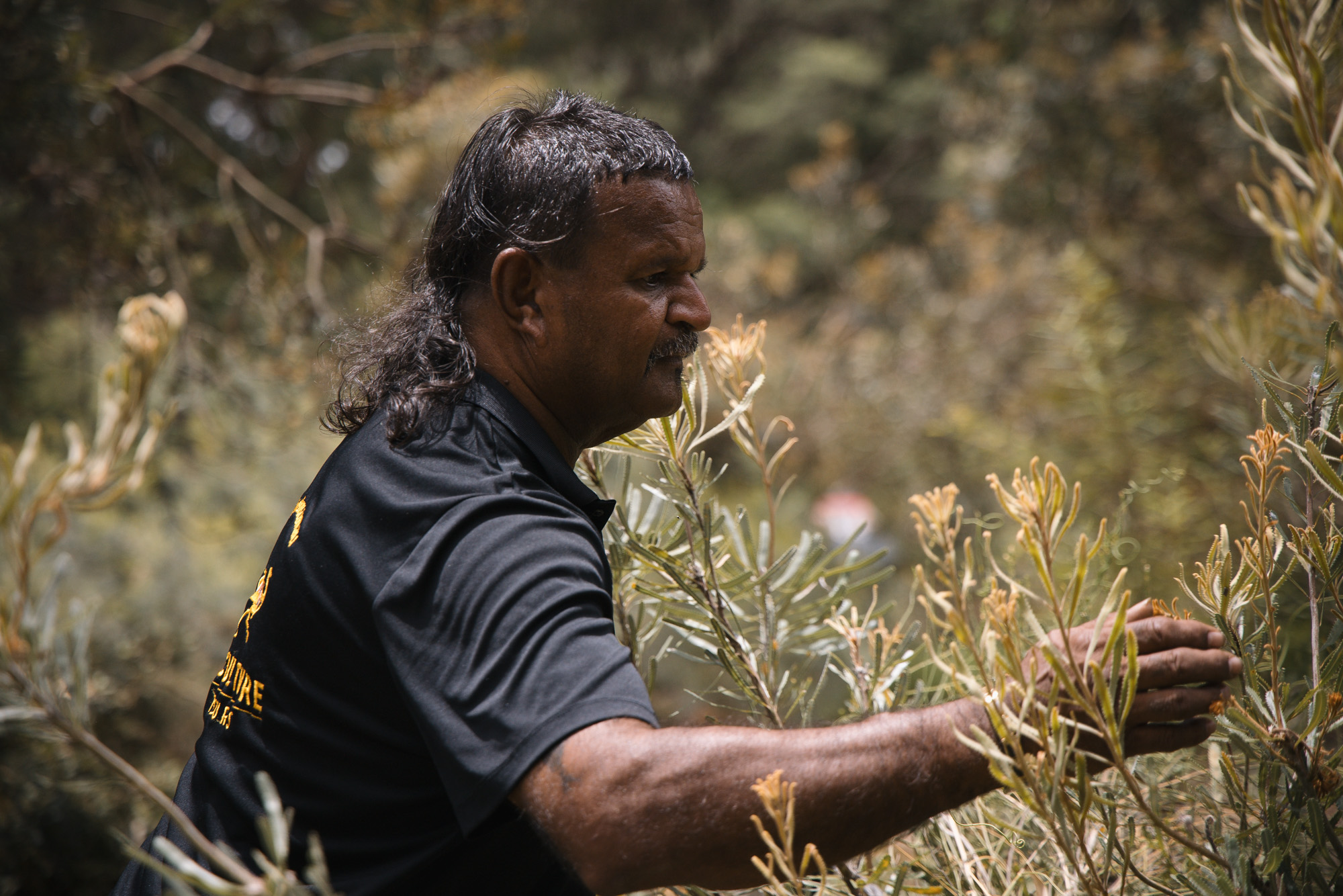 Mooro Katta Gar-Up Walking Tour (Kings Park)