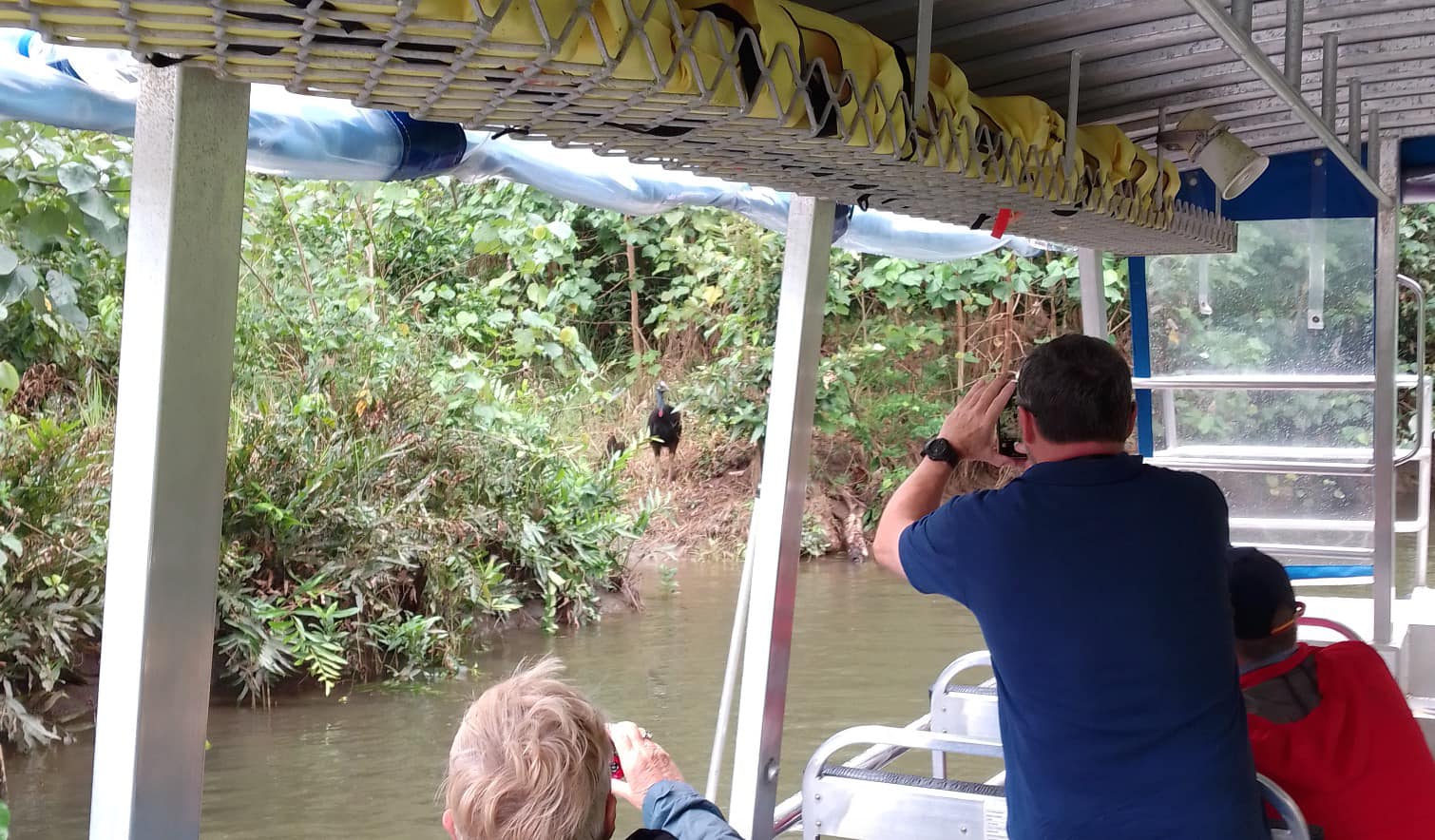 MOSSMAN GORGE DAINTREE EXPERIENCE