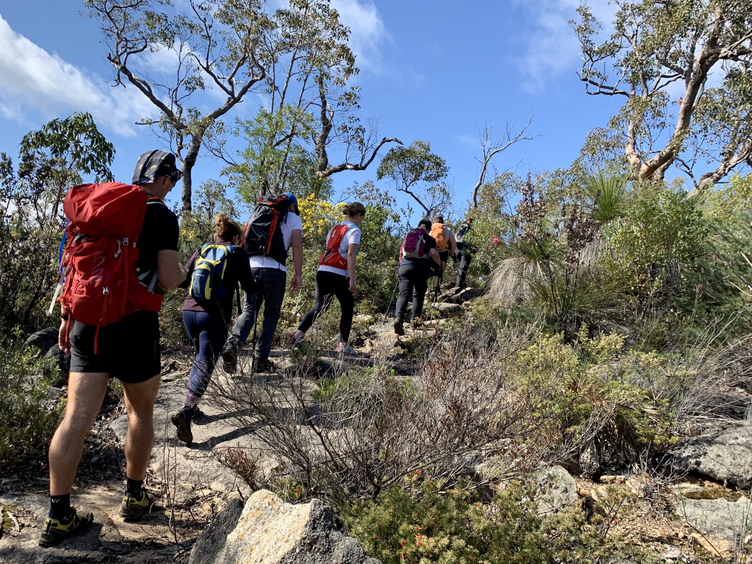 Four Peaks Endurance Hike