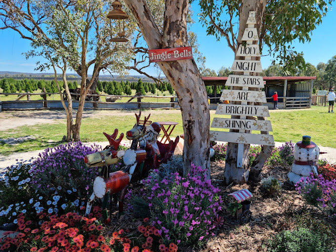 THE MAGICAL CHRISTMAS FARM TOUR AT STANTHORPE