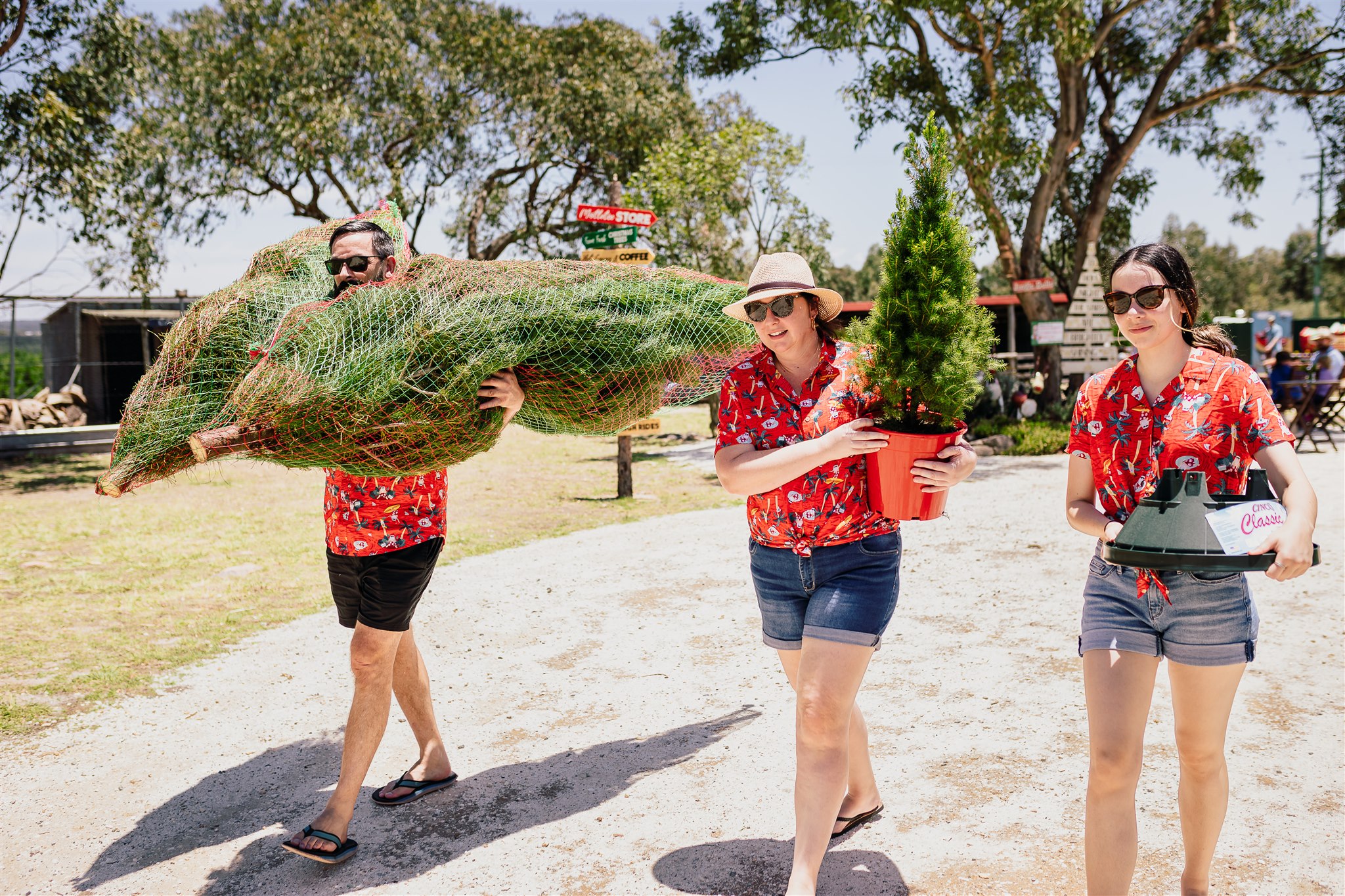 THE MAGICAL CHRISTMAS FARM TOUR AT STANTHORPE