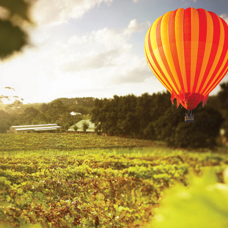 Gold Coast Classic Ballooning & Vineyard Breakfast with Whales