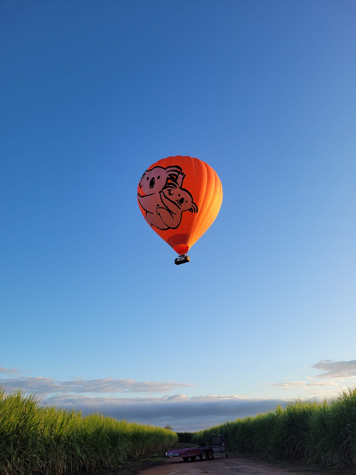 Cairns VIP upgrade Hot Air Balloon experience