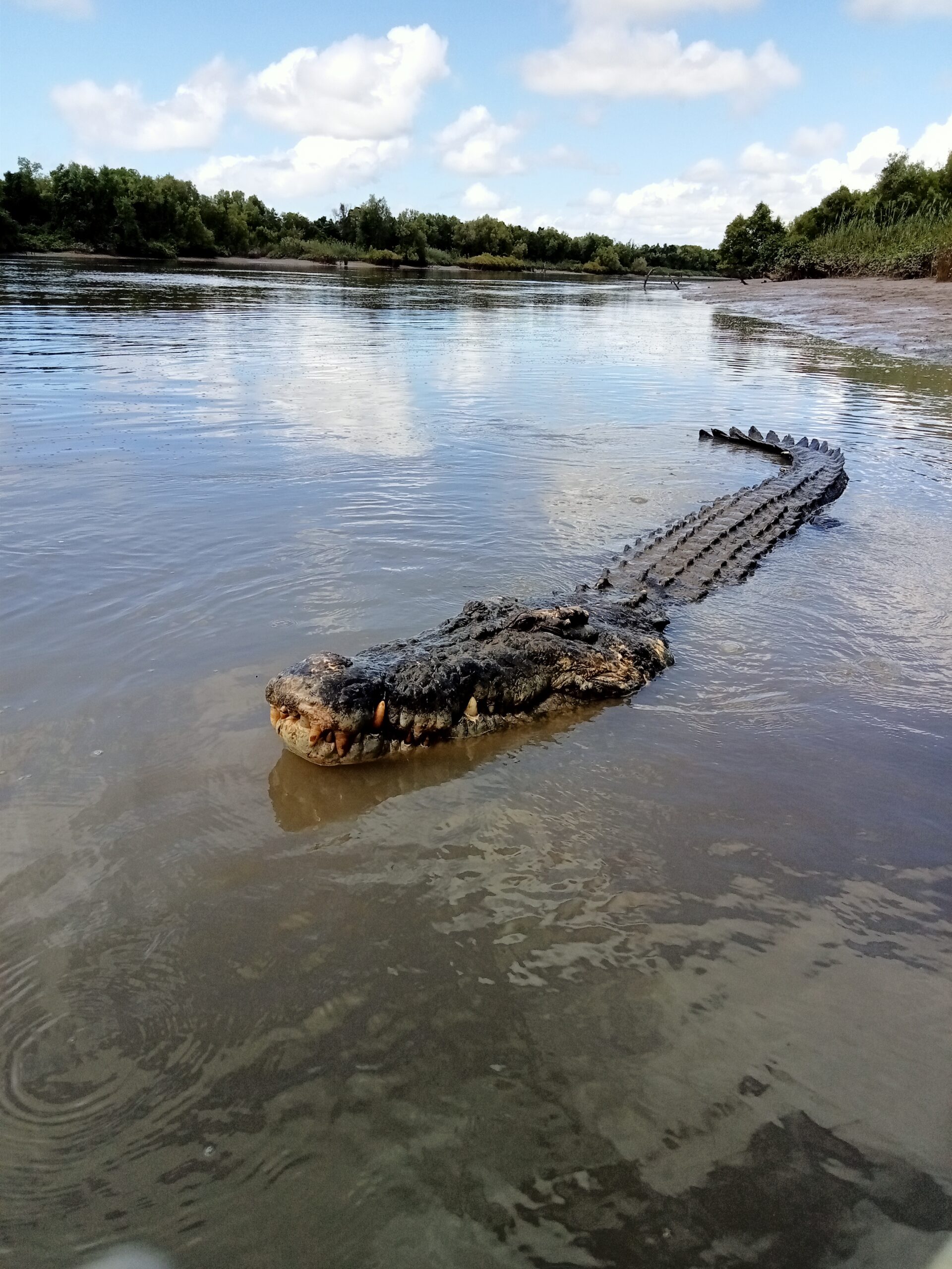 3 Day Top End. Kakadu Art Kakadu Waterfalls Katherine Gorge Edith Falls