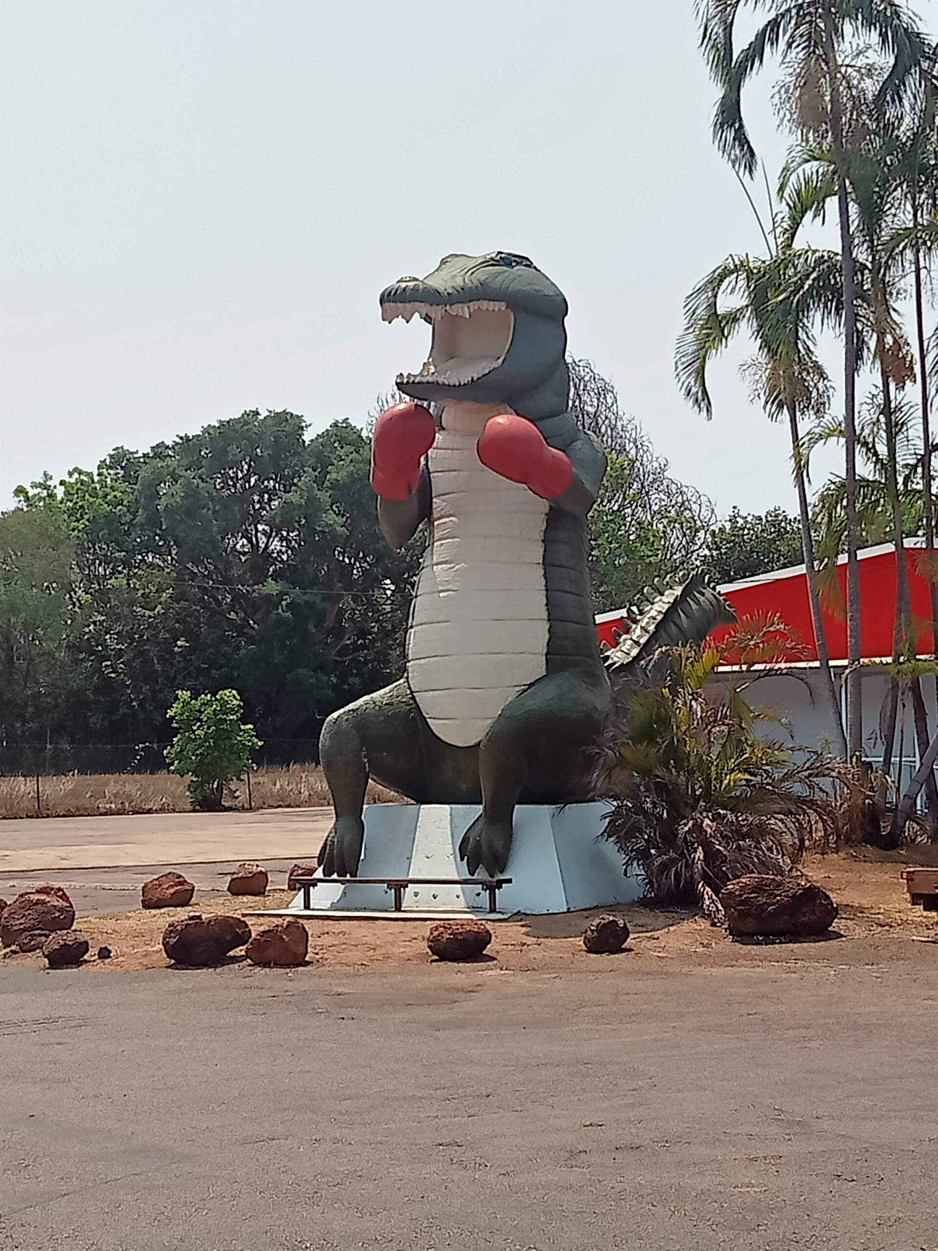 Jumping crocodiles and Darwin City Tour