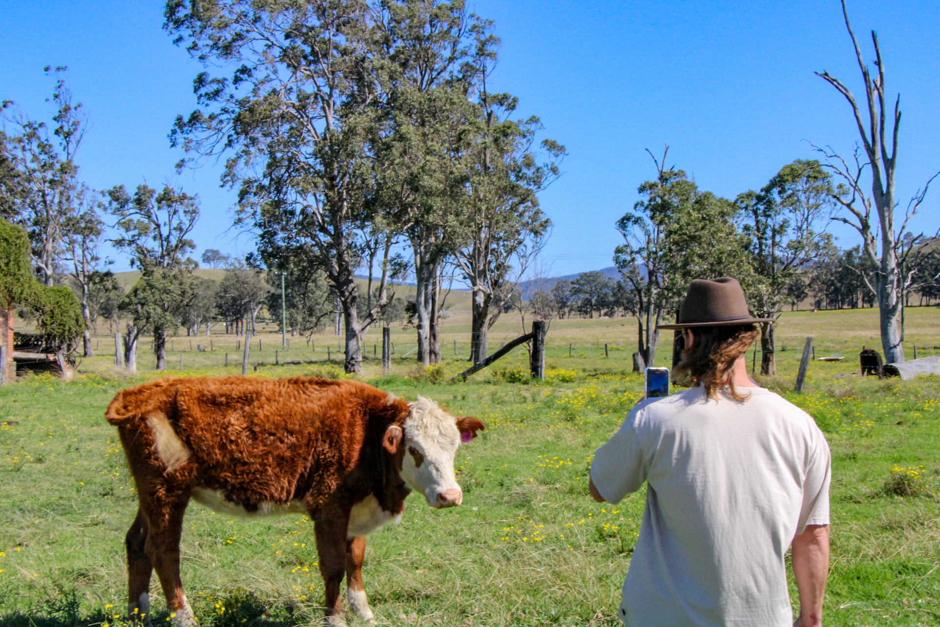 Aussie Country Adventure. Departing Newcastle.