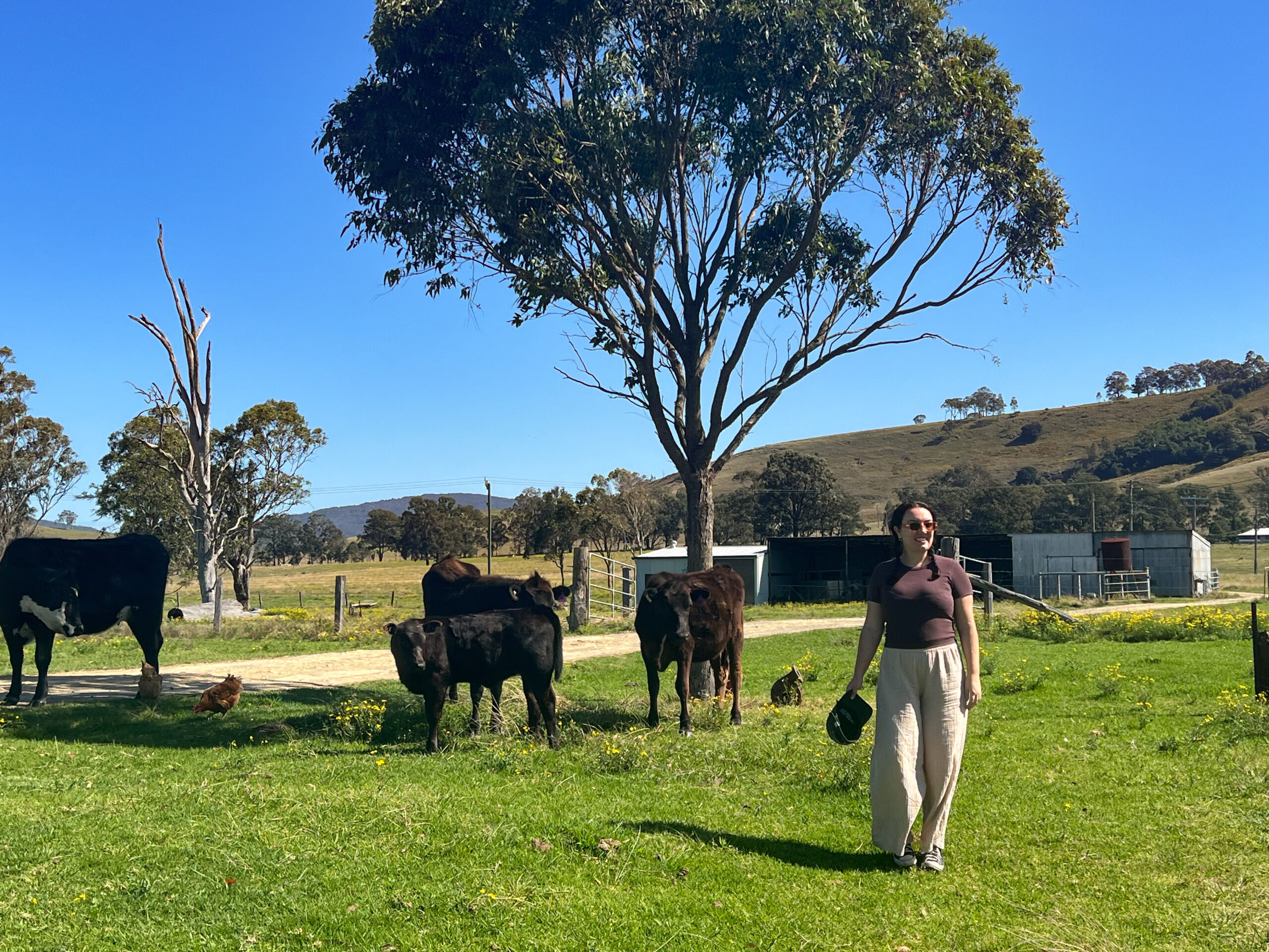 Aussie Country Adventure. Departing Newcastle.