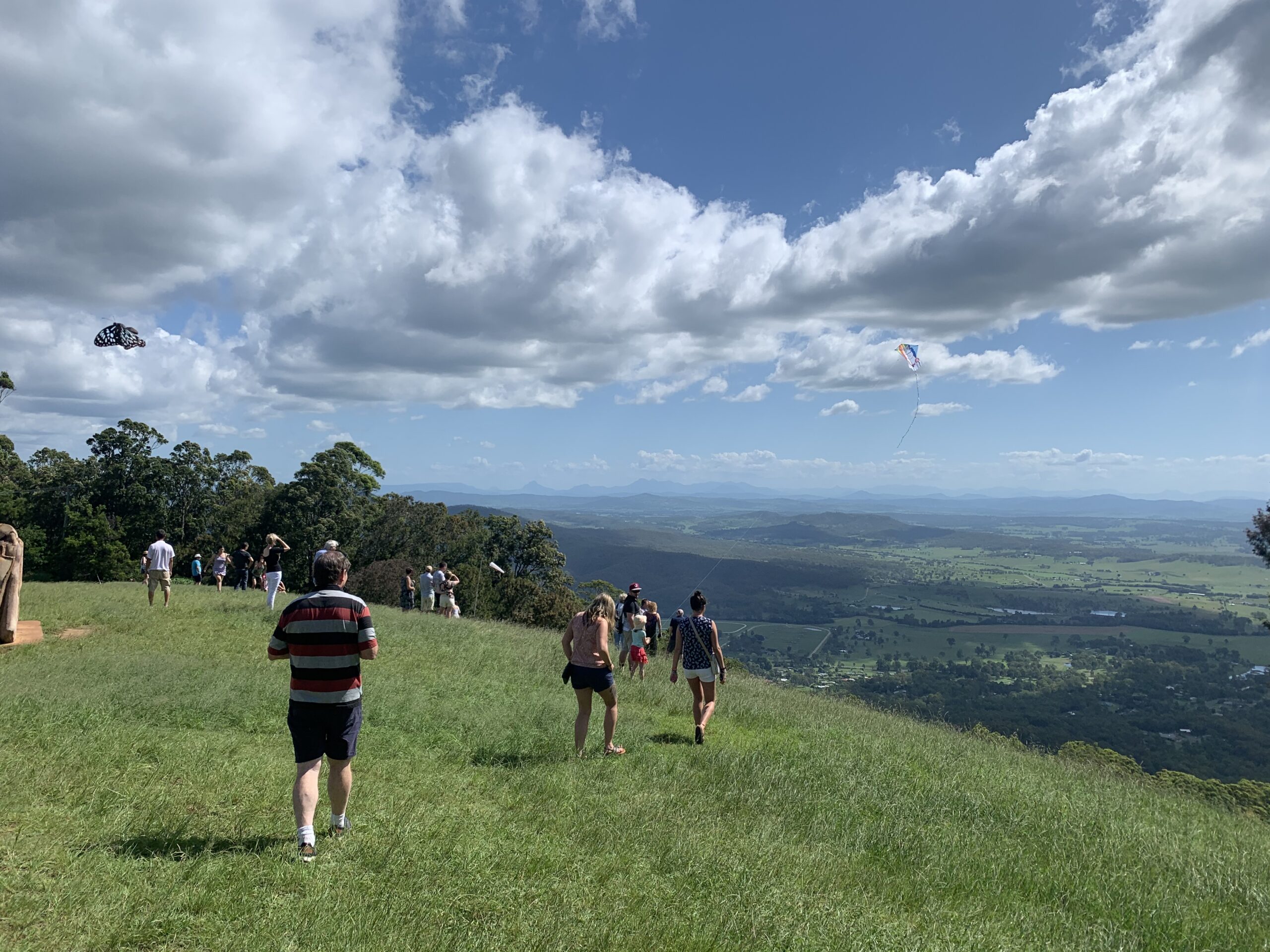 Hop on Hop Off Bus - Tamborine Mountain - from Gold Coast