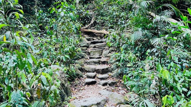 MOSSMAN GORGE DAINTREE EXPERIENCE