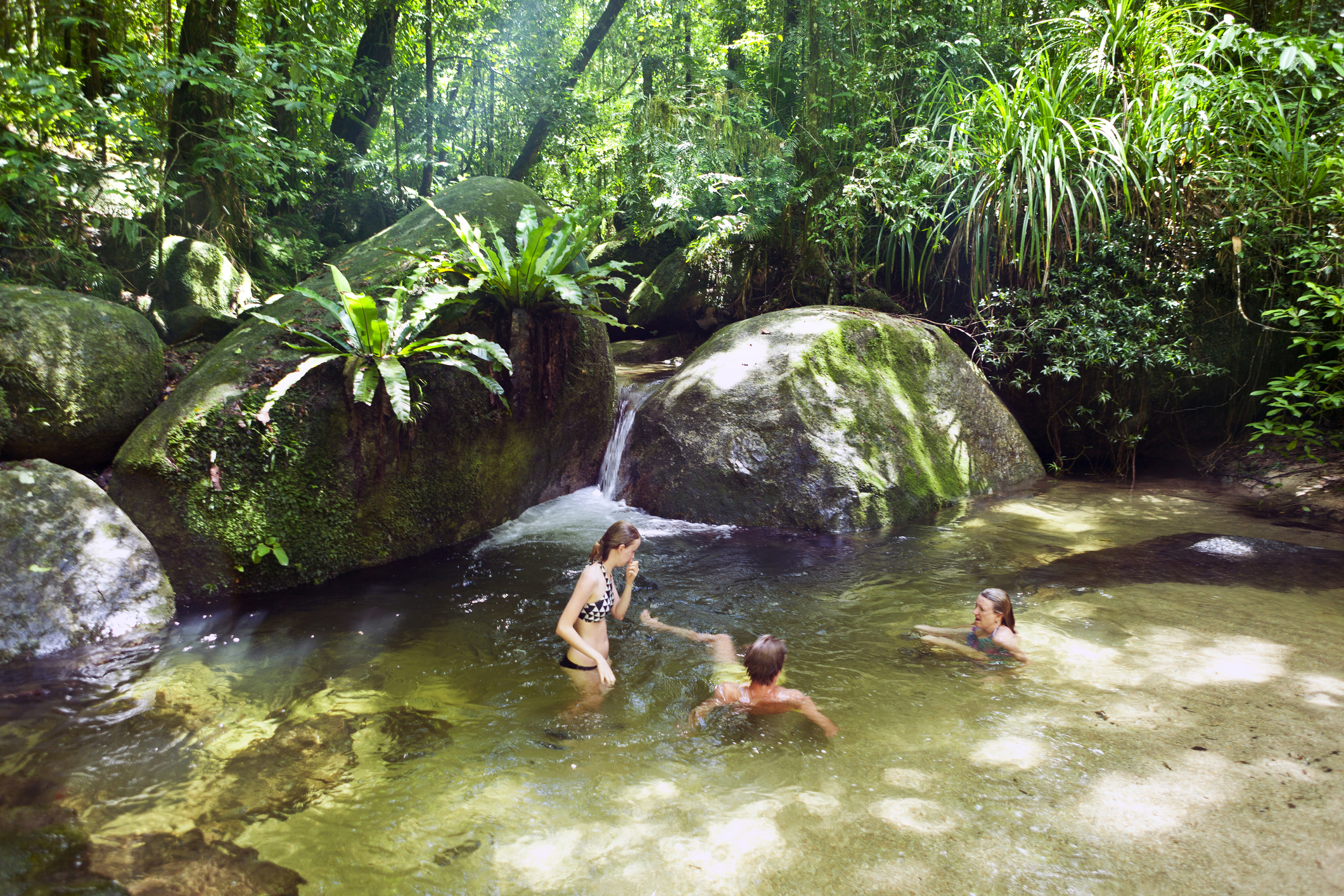 MOSSMAN GORGE DAINTREE EXPERIENCE