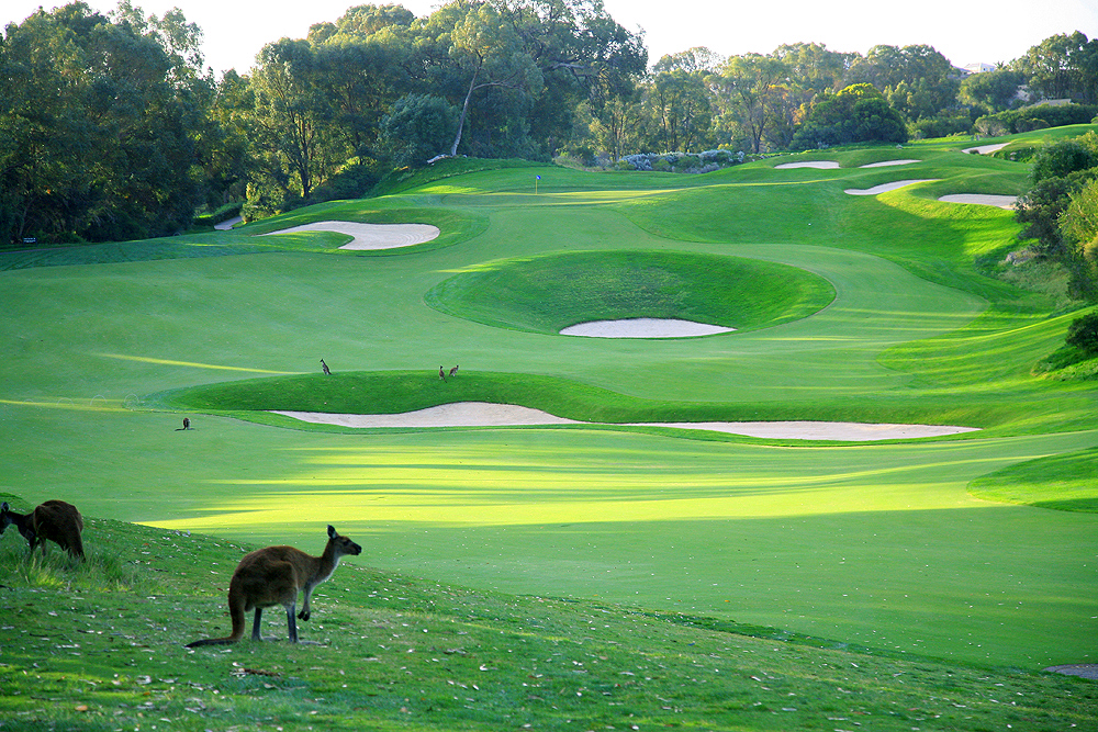 Joondalup Resort (WA) Two Night Stay & Play Golf Package