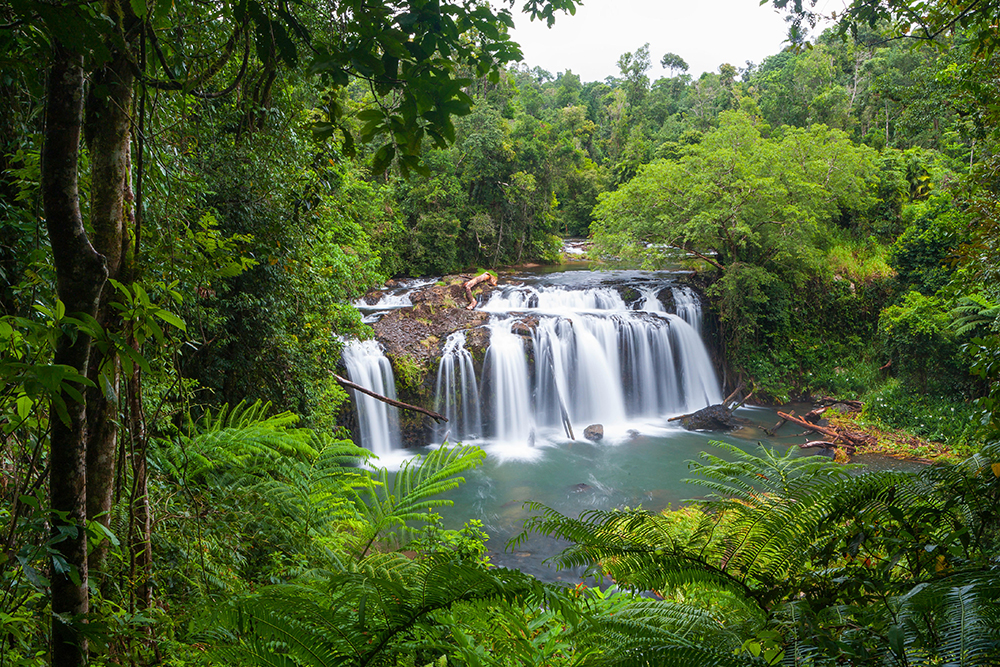 Tropical North Qlds Private Tours