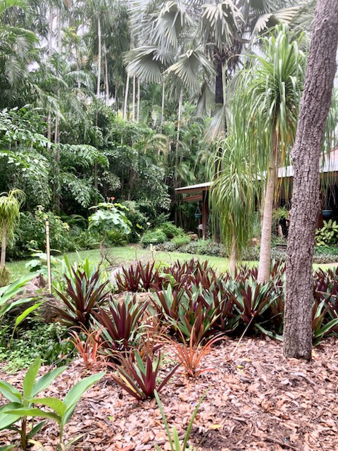 4-Hour Private Tropical Garden Tour