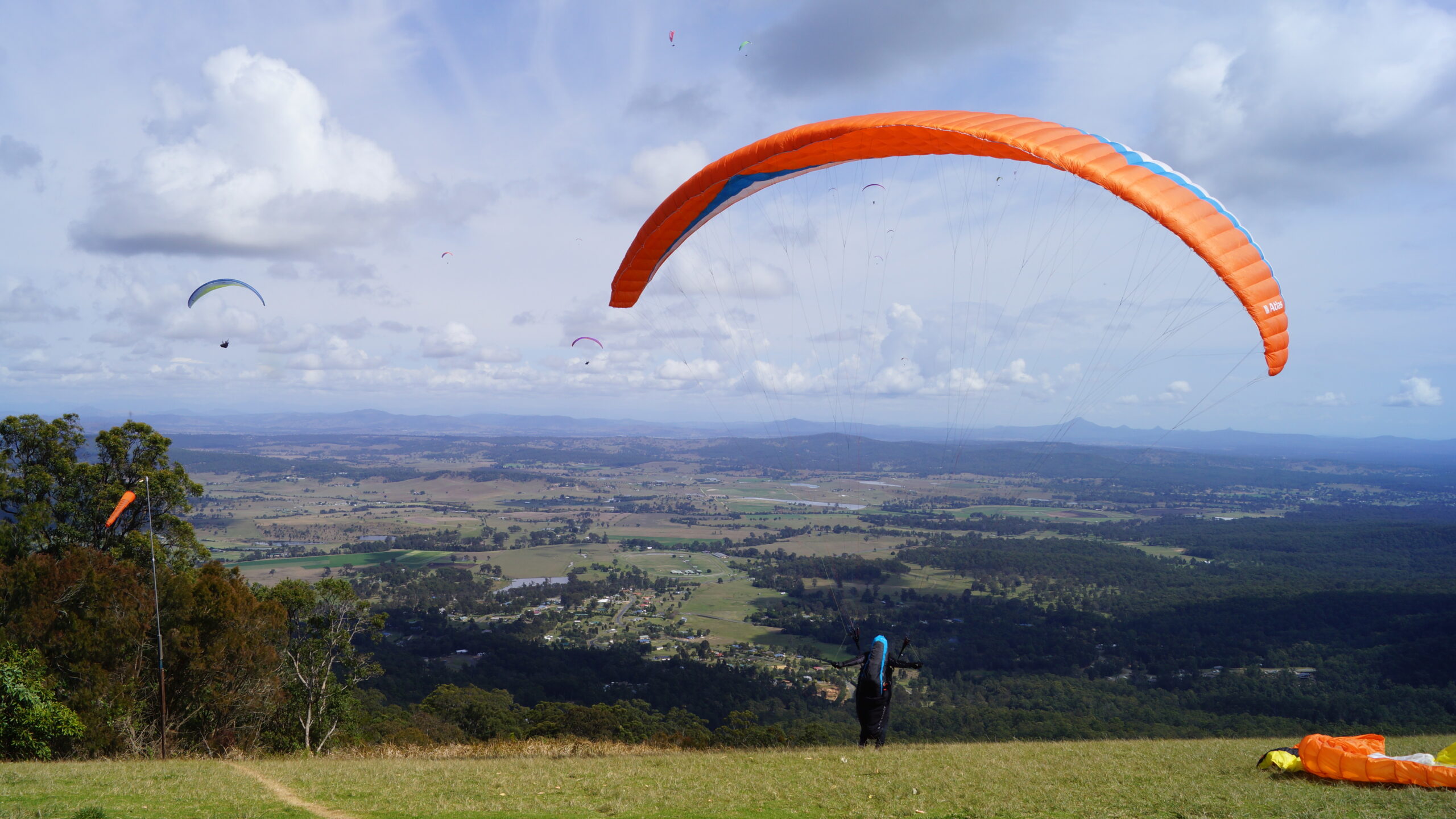 Hop on Hop Off Bus - Tamborine Mountain - from Gold Coast