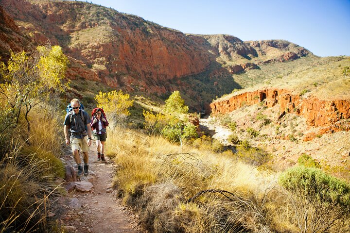 4 Day Uluru Kings Canyon West MacDonnell Ranges from Ayers Rock