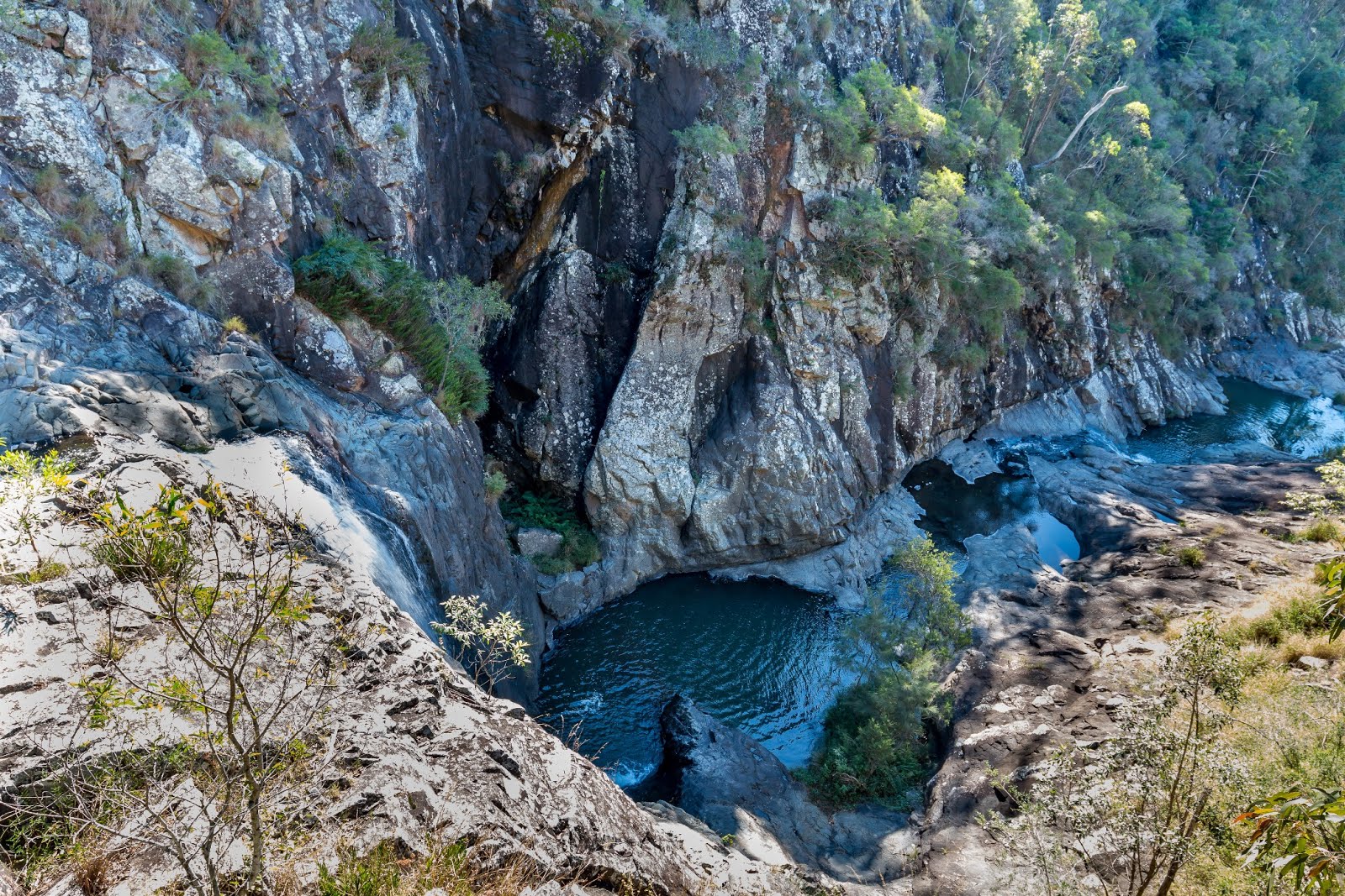 Brisbane to Tamborine Mountain Shuttle Service