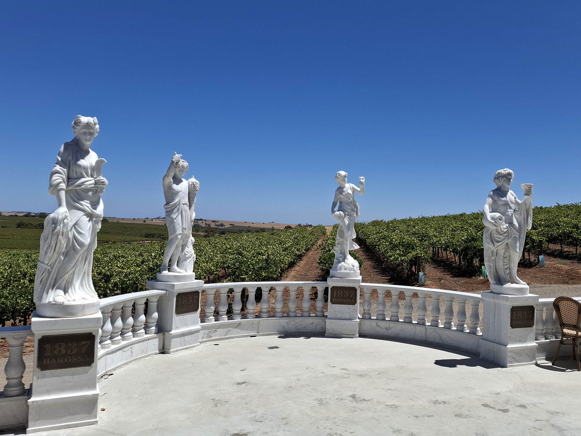 1 hour Wine Tour, 4 Wine Tastings plus Gourmet Pizzas and a bottle of our prestige wine