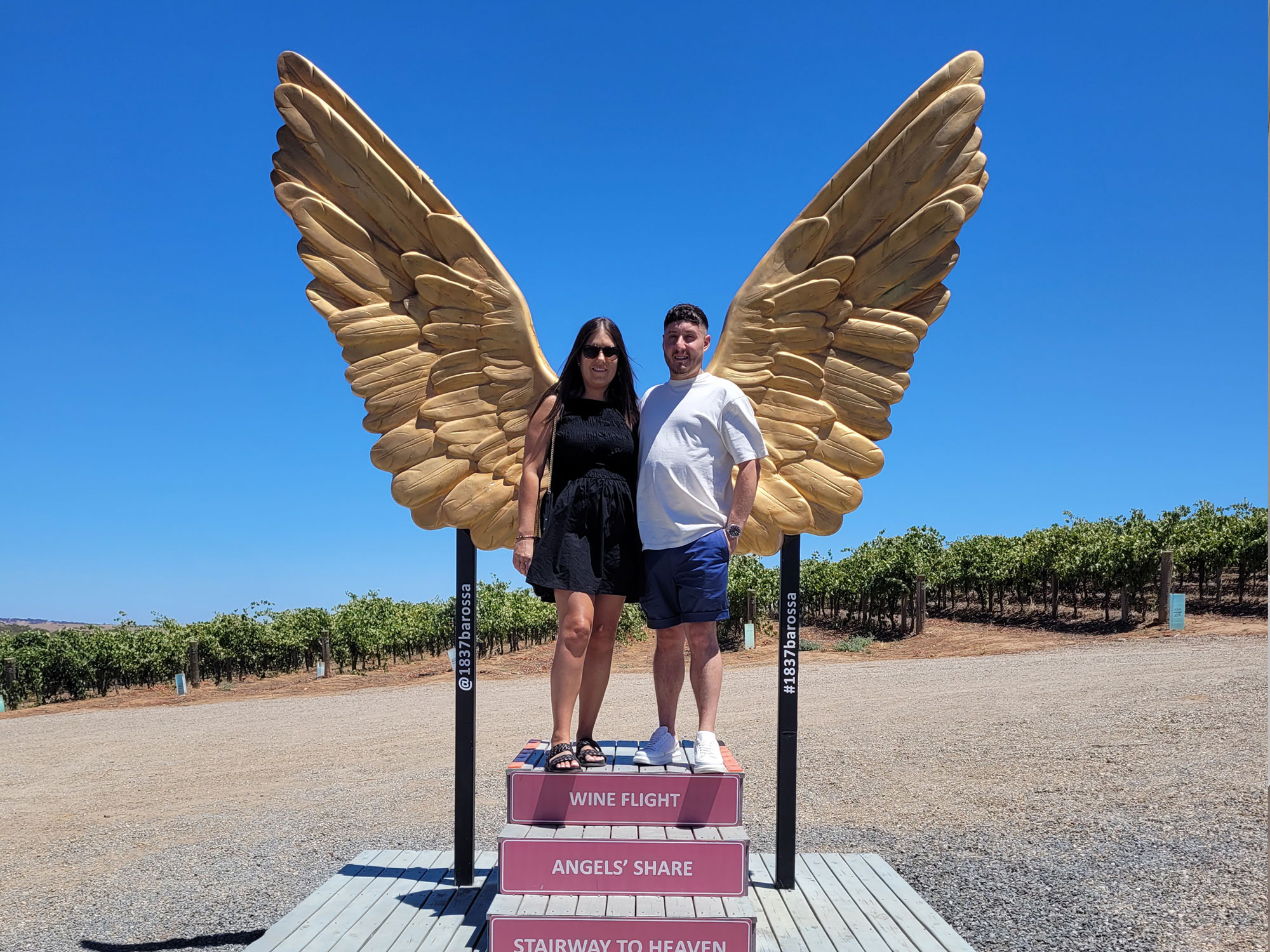 1 hour Wine Tour, 4 Wine Tastings plus Gourmet Pizzas and a bottle of our prestige wine