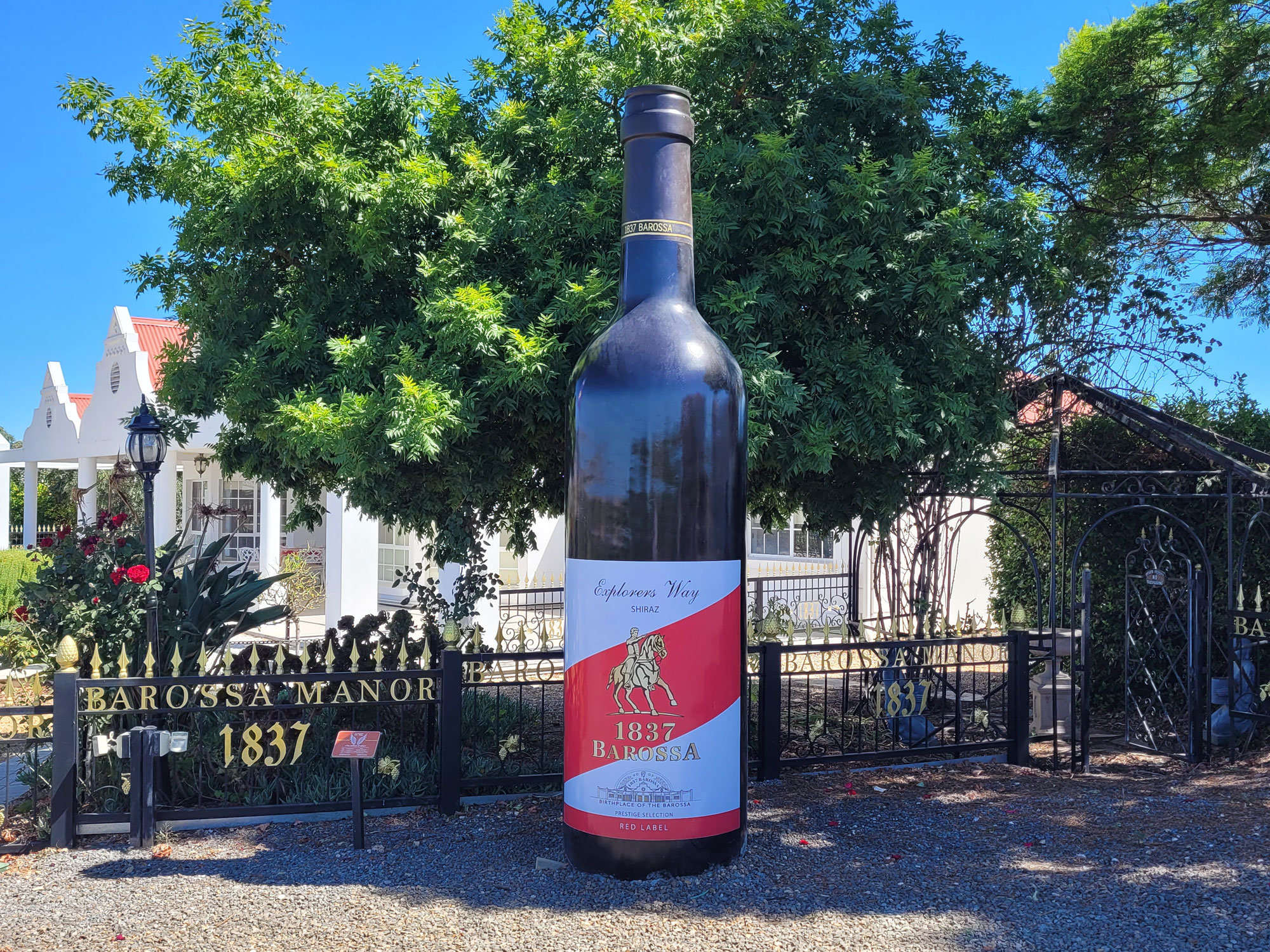 1 hour Wine Tour, 4 Wine Tastings plus Gourmet Pizzas and a bottle of our prestige wine