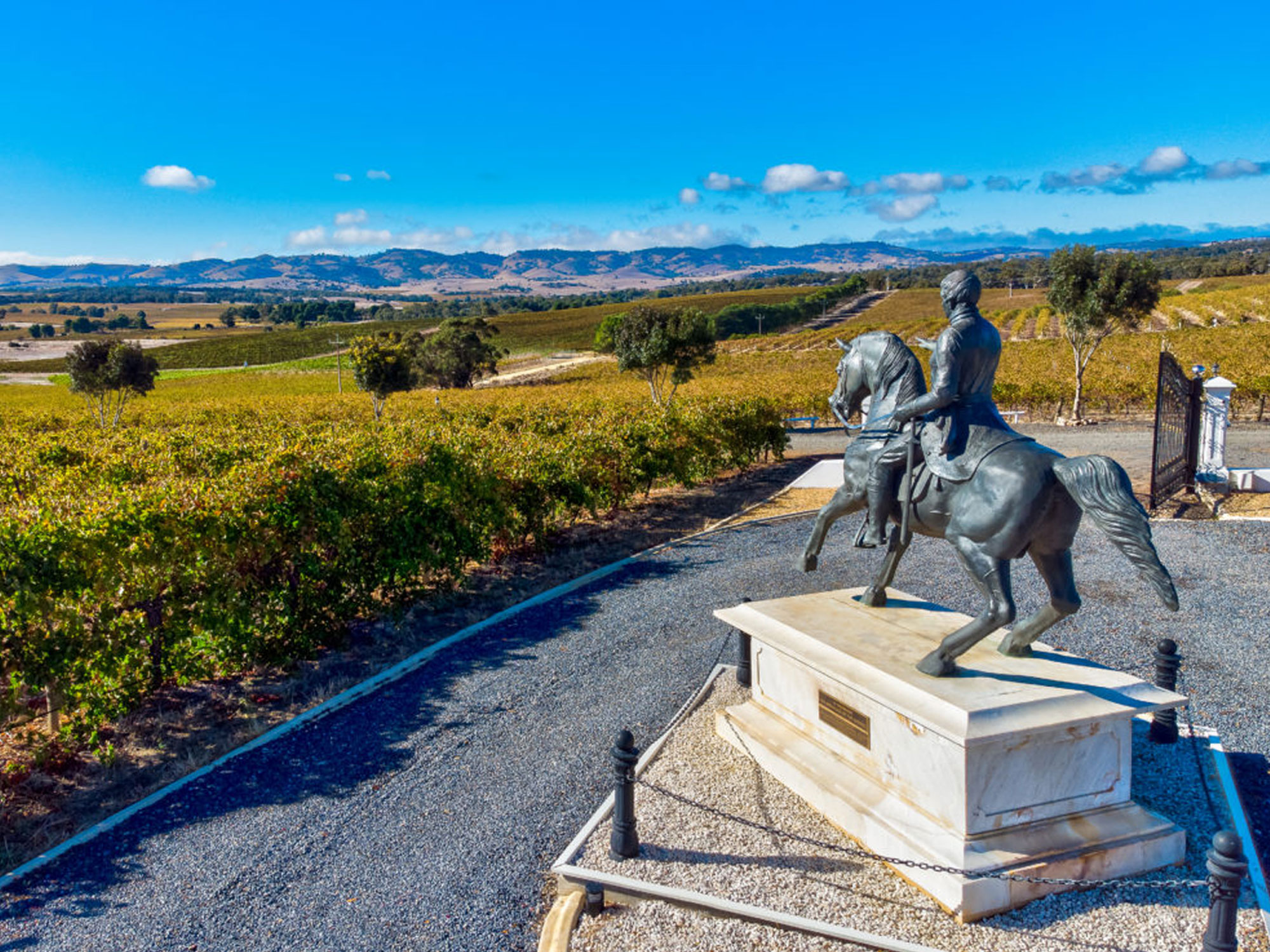 1 hour Wine Tour, 4 Wine Tastings plus Gourmet Pizzas and a bottle of our prestige wine