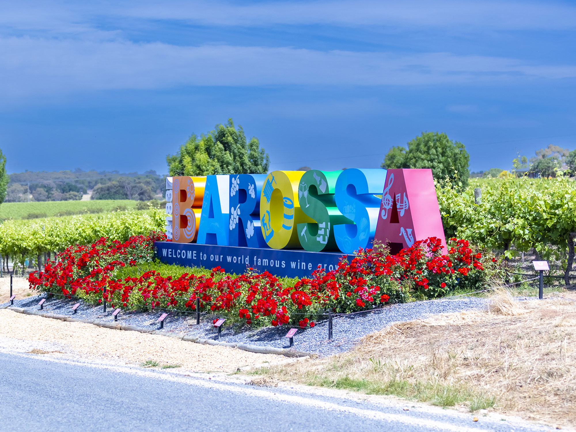 1 hour Wine Tour, 4 Wine Tastings plus Gourmet Pizzas and a bottle of our prestige wine