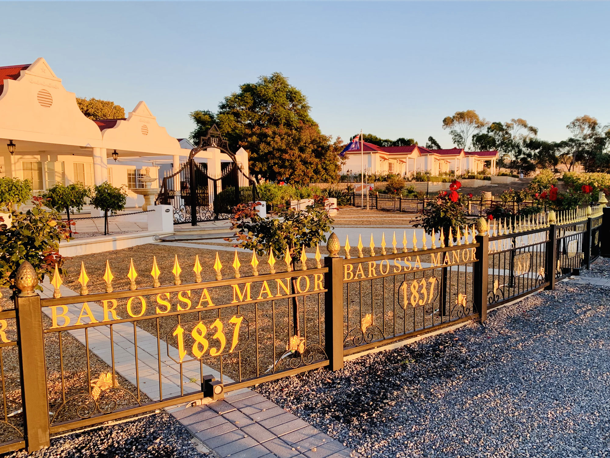1 hour Wine Tour, 4 Wine Tastings plus Gourmet Pizzas and a bottle of our prestige wine