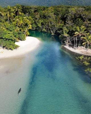 Tropical North Qlds Private Tours