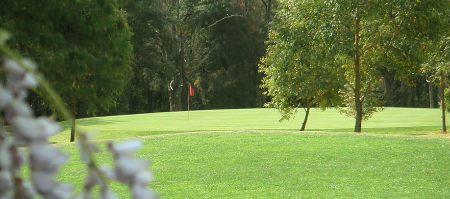 Springwood Country Club (NSW) 18 Holes of Golf